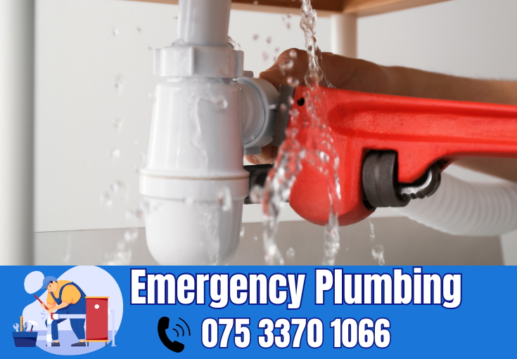  plumber Nethercourt